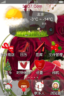 漂亮的粉色玫瑰