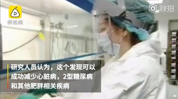 基因編輯讓人躺著也能瘦？還可減少疾?。啃∈蟪晒α? CNMO